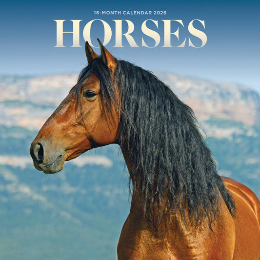 Horses Mini Calendar 2026