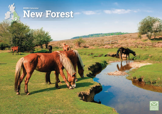 New Forest A4 Calendar 2026