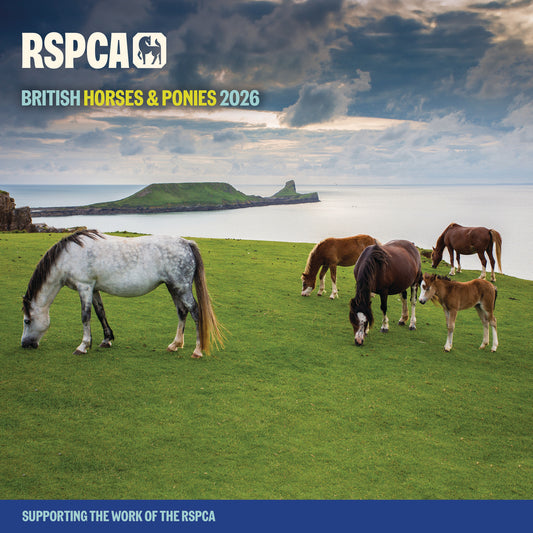 RSPCA British Horses & Ponies Wall Calendar 2026