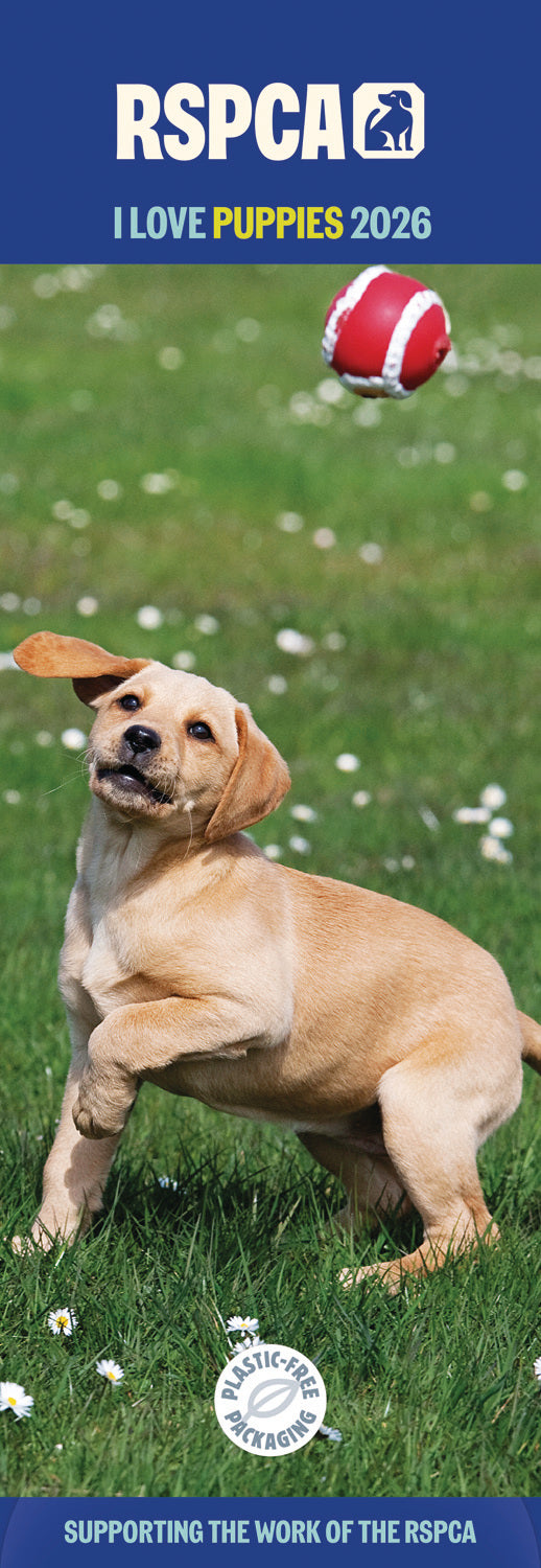 RSPCA I Love Puppies Slim Calendar 2026