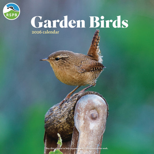 RSPB Garden Birds Wall Calendar 2026