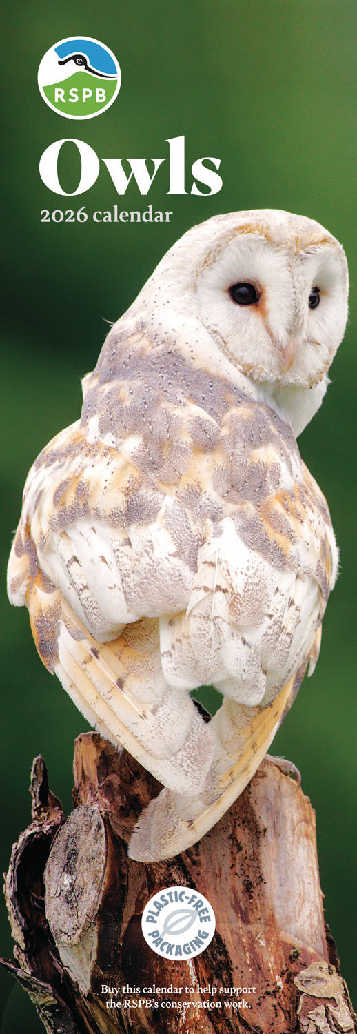 RSPB Owls Slim Calendar 2026