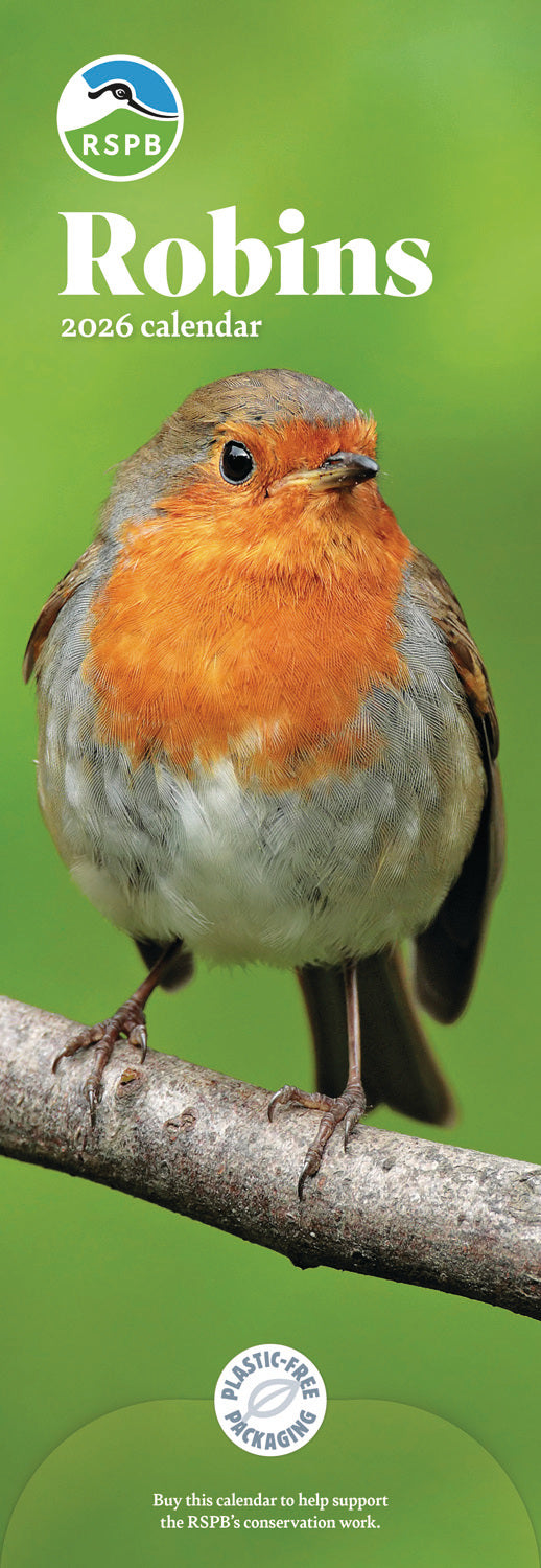 RSPB Robins Slim Calendar 2026