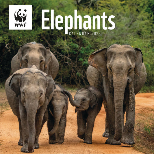 WWF, Elephants Wall Calendar 2026