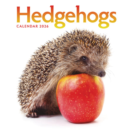 Hedgehogs Wall Calendar 2026