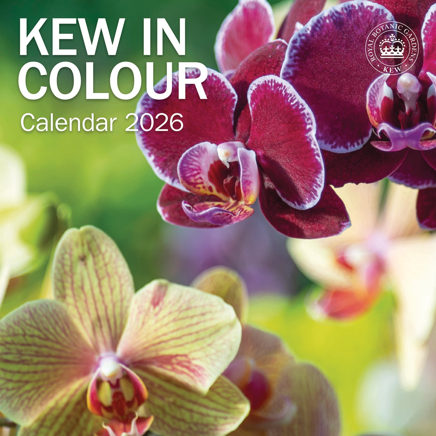 Royal Botanic Gardens Kew, Kew in Colour Wall Calendar 2026