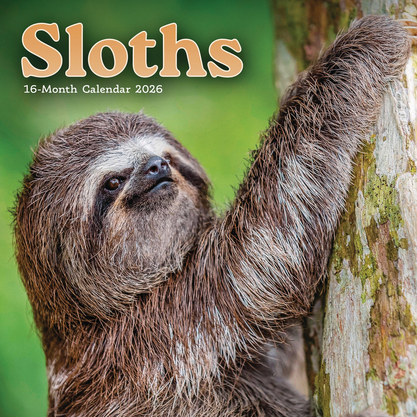 Sloths M (Sunday Start) Calendar 2026