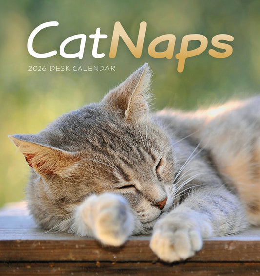 Cat Naps Easel Calendar 2026