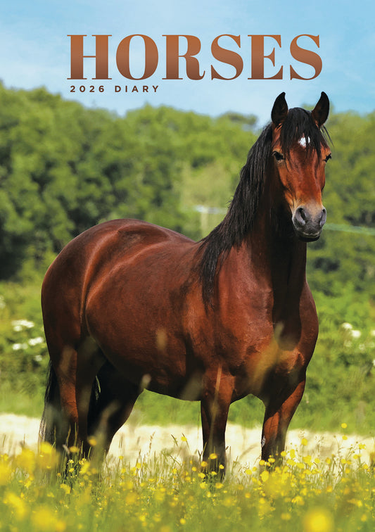 Horses A5 Wiro Diary 2026