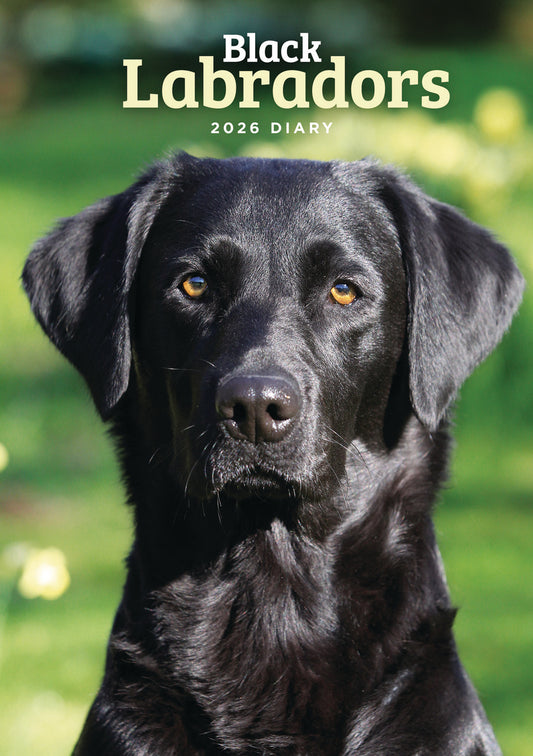 Labrador Retrievers Black A5 Wiro Diary 2026