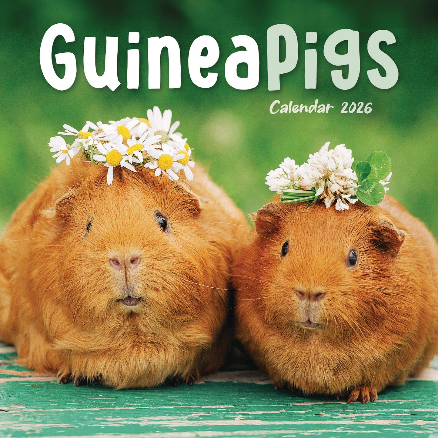 Guinea Pigs Mini Calendar 2026