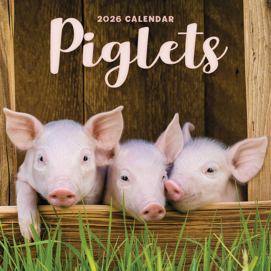 Piglets Mini Calendar 2026