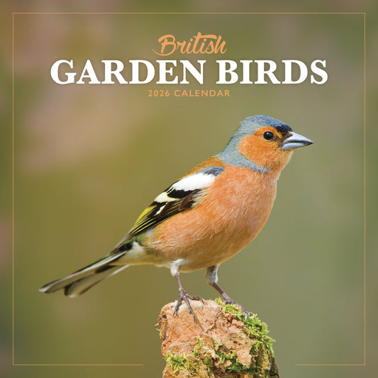 British Garden Birds Mini Calendar 2026