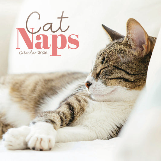 Cat Naps Mini Calendar 2026