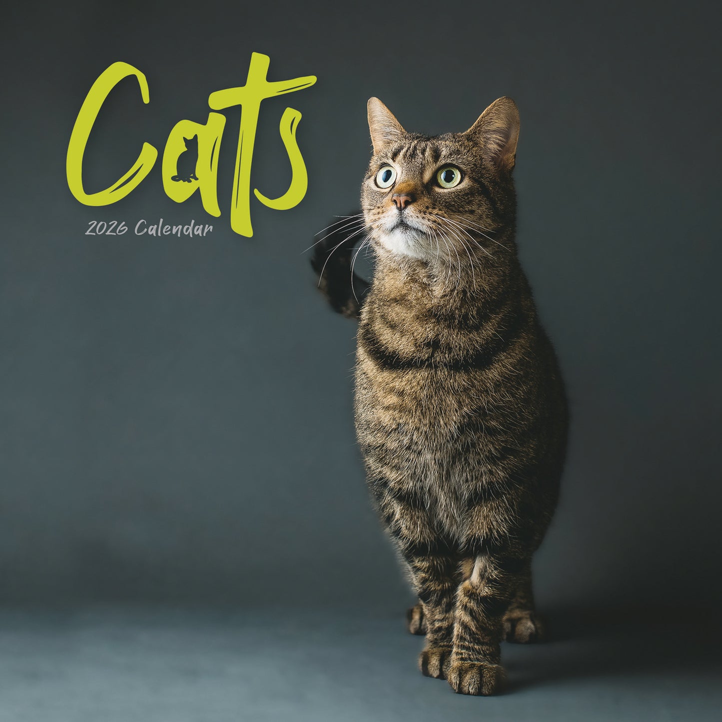 Cats Wiro Wall Calendar 2026