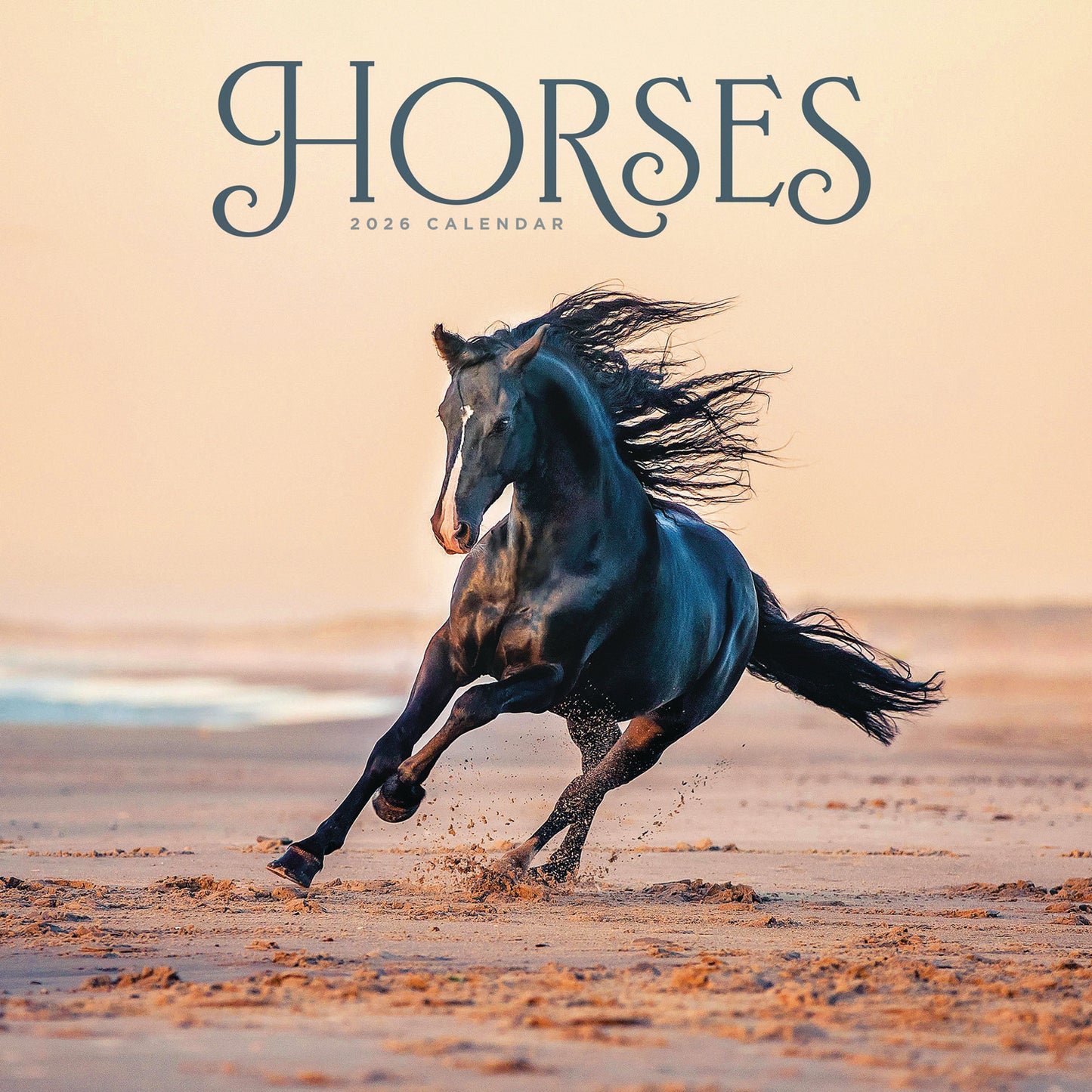 Horses Wiro Wall Calendar 2026