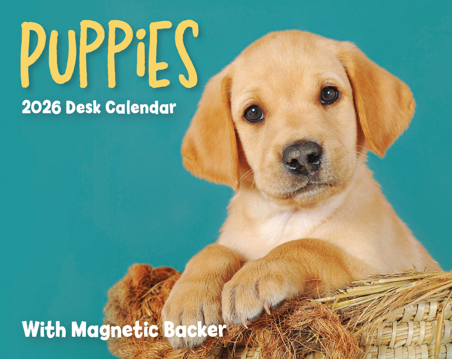 Puppies Mini Box Calendar 2026