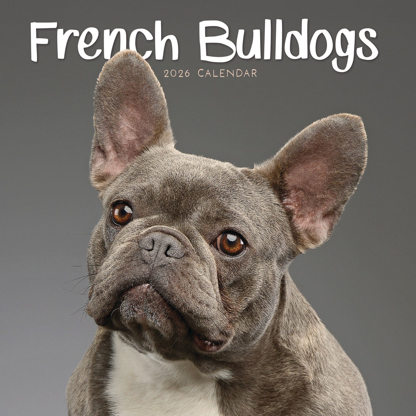 French Bulldogs Mini Calendar 2026