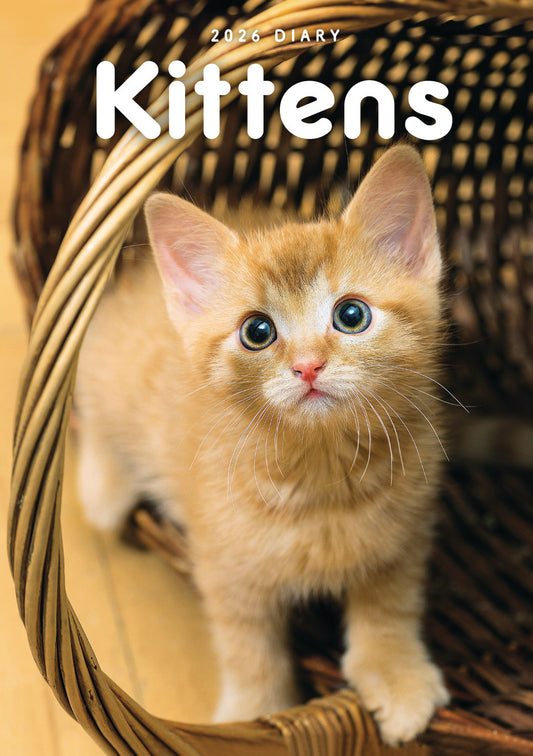 Kittens A5 Wiro Diary 2026