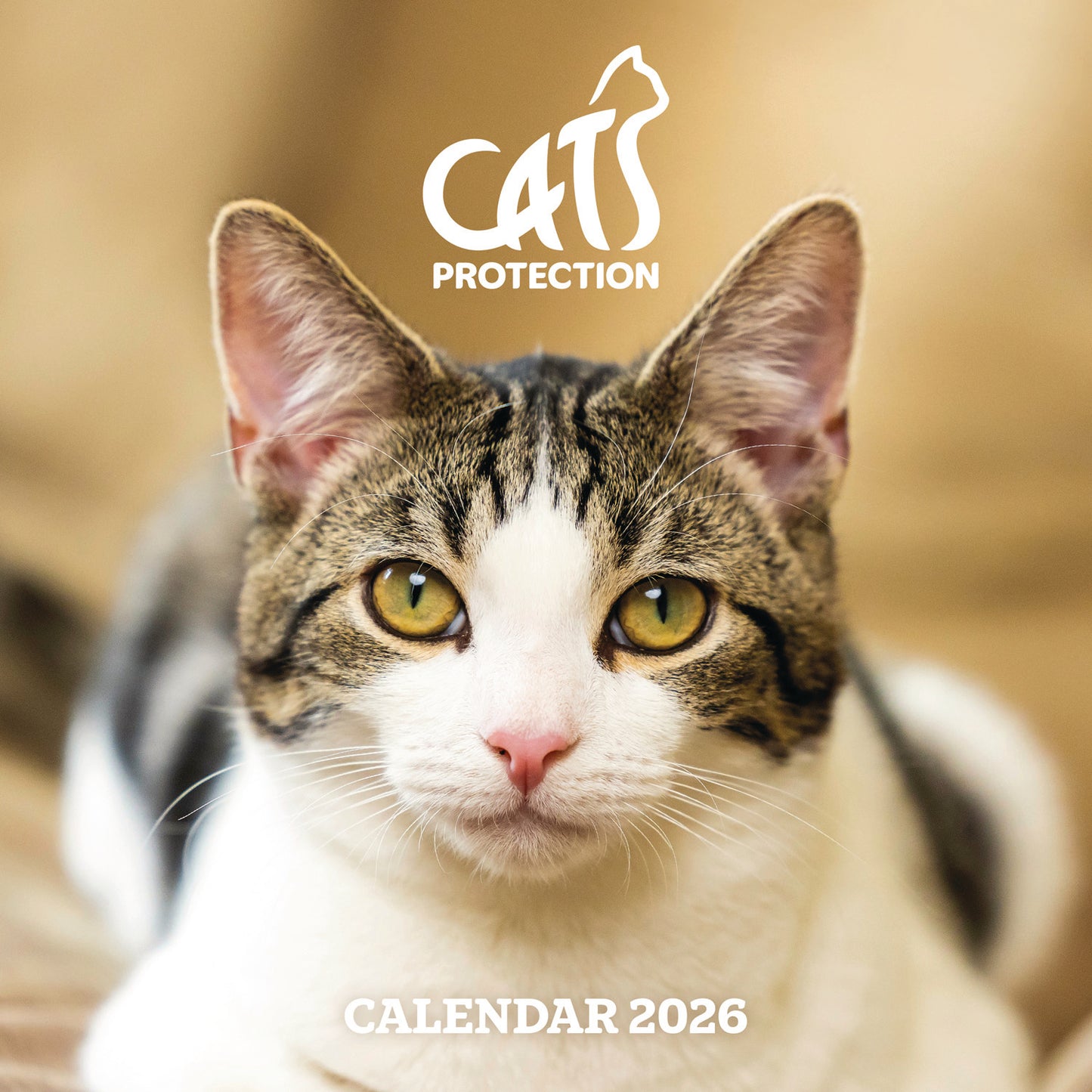 Cats Protection Wall Calendar 2026