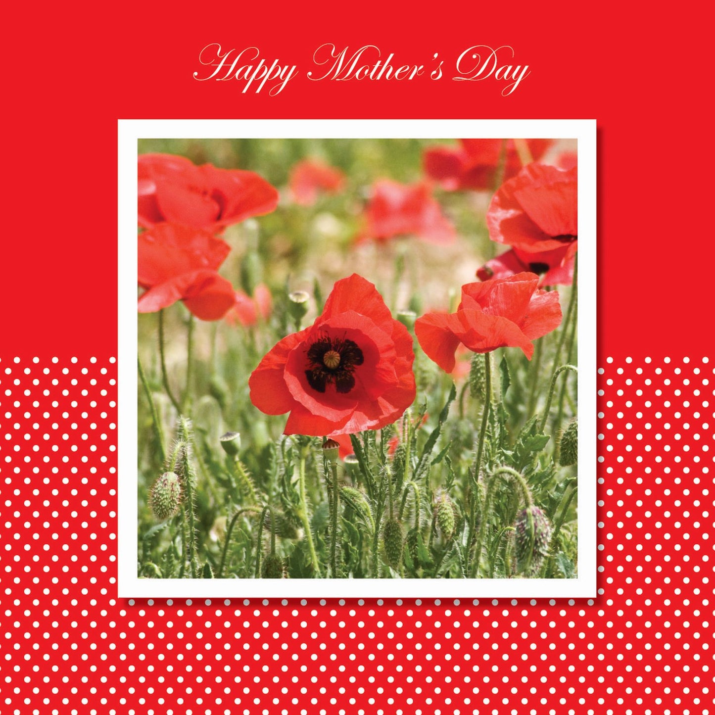 Mother's Day Card - Poppies