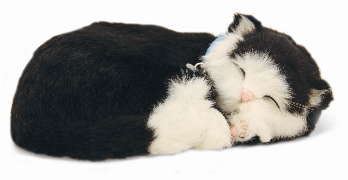 Precious Petzzz - Black & White Short Haired Cat