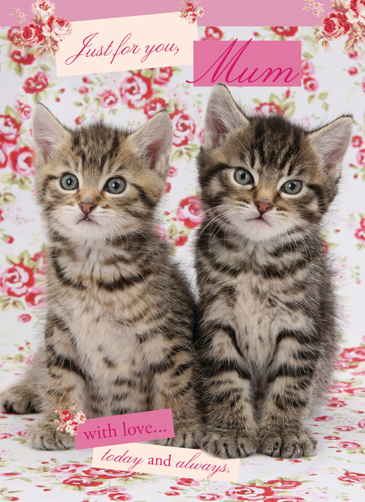 Mother's Day Card - Tabby Kittens