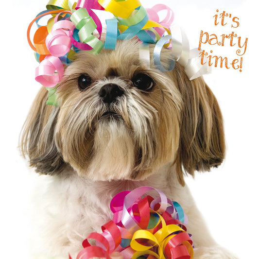 Pet Pawtrait Card - It's Party Time (Blank Card)