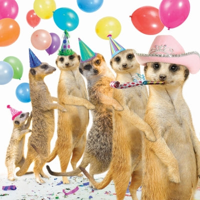 Pet Pawtrait Card - Conga (Birthday Card)