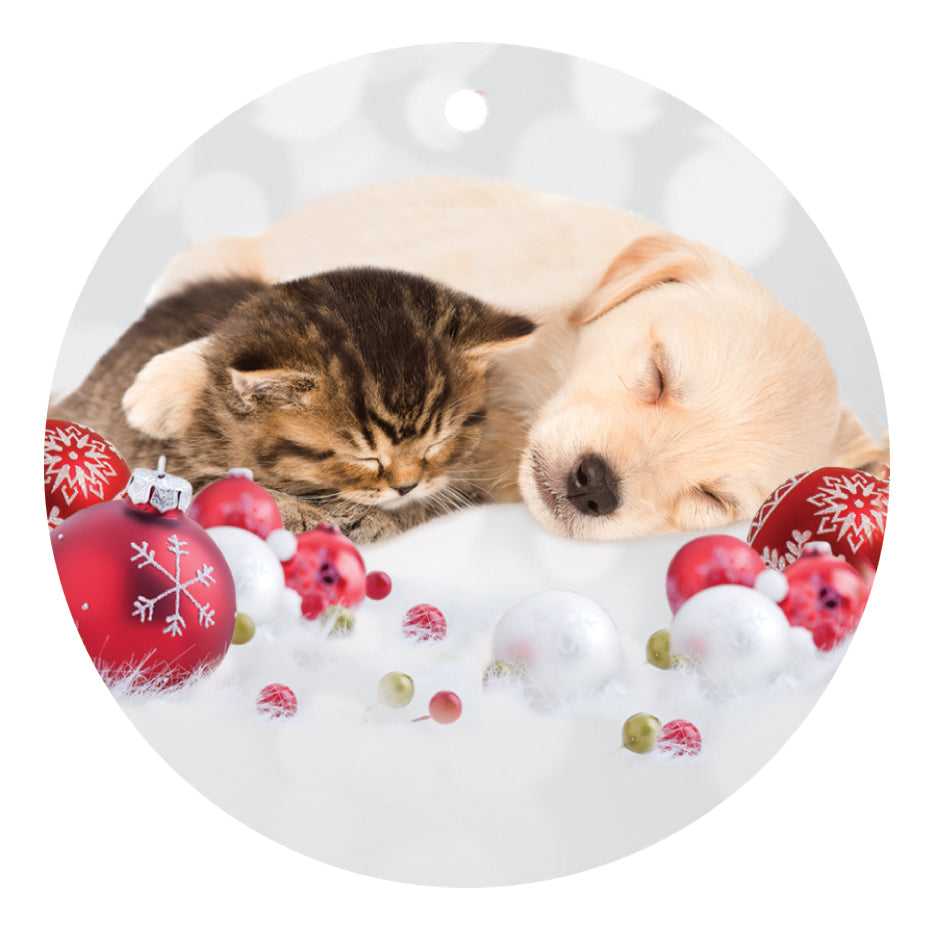 Christmas Wrap & Tags - Sleepy Buddies & Baubles