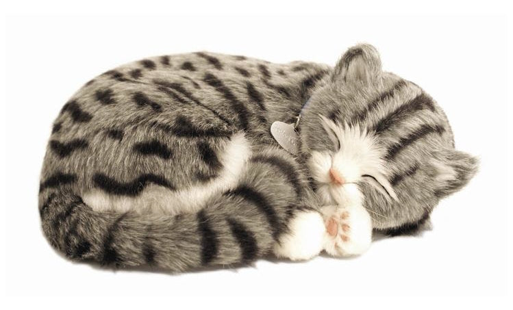 Precious Petzzz - Grey Tabby