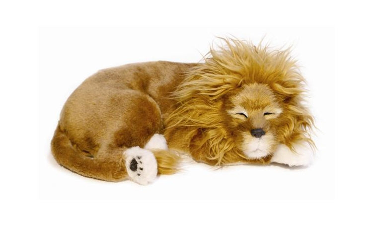 Precious Petzzz - Lion