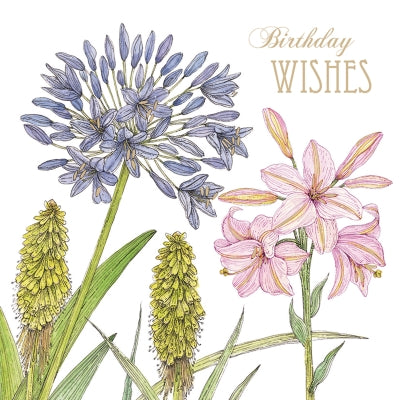 Vintage Garden Card - Agapanthus & Lily