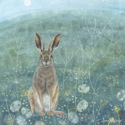 Enchanted Wildlife Card Collection - Hare