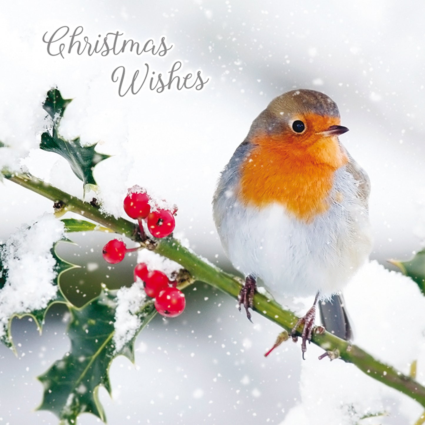 Assorted Christmas Cards - Merry Robins