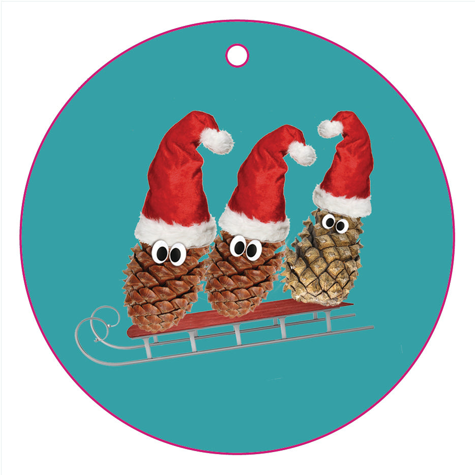 Christmas Wrap & Tags - Pinecone Fun!