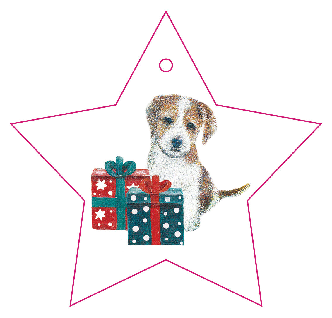 Christmas Wrap & Tags - Puppy Present