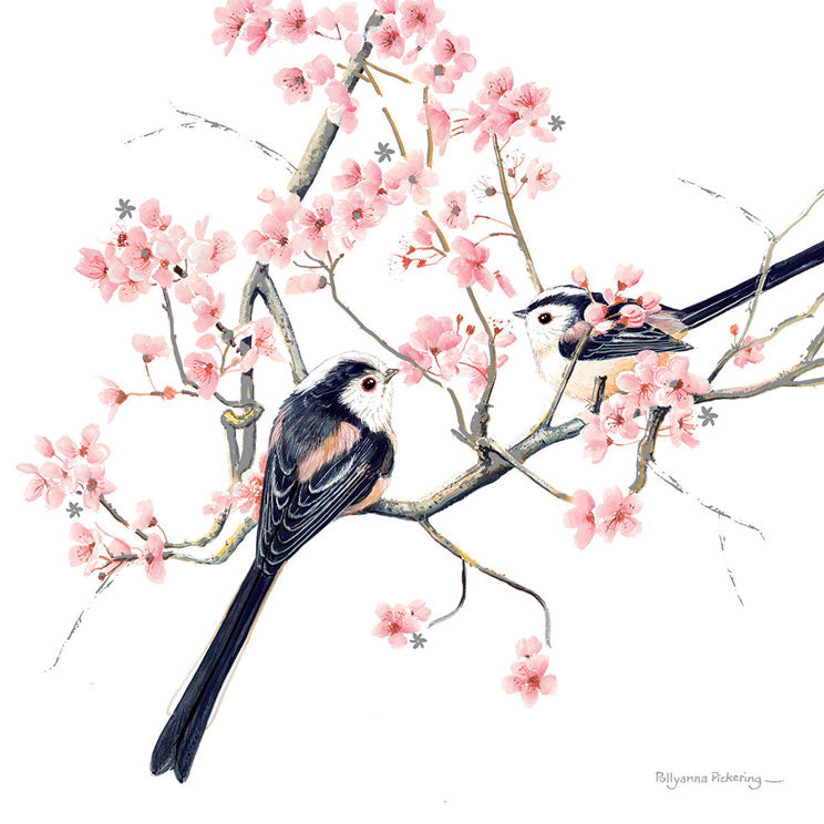 Pollyanna Pickering Countryside Card Collection - Long Tailed Tits On Blossom