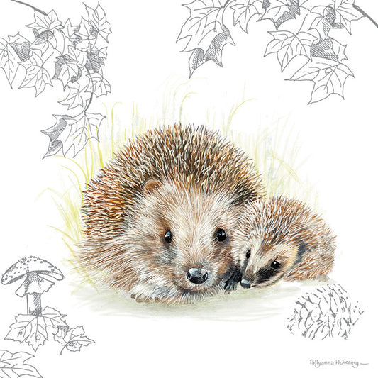 Pollyanna Pickering Countryside Card Collection - Hedgehog Pair