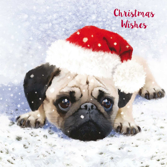 Luxury Christmas Card Pack - Cute Christmas Pug