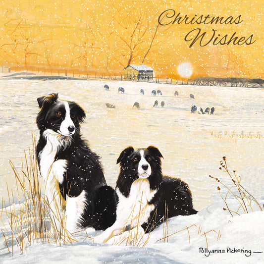 Charity Christmas Card Pack - Winter Collies