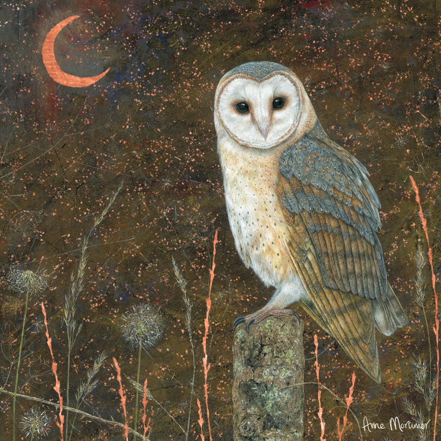 Enchanted Wildlife Card Collection - Barn Owl