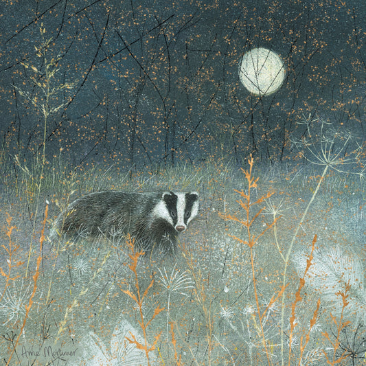 Enchanted Wildlife Card Collection - Badger