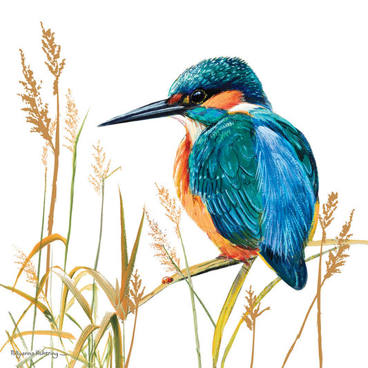 Pollyanna Pickering Countryside Card Collection - Kingfisher