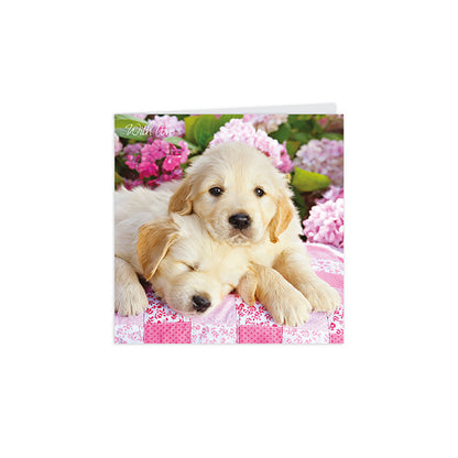 Notecard Pack (10 Cards) - Puppies & Flowers