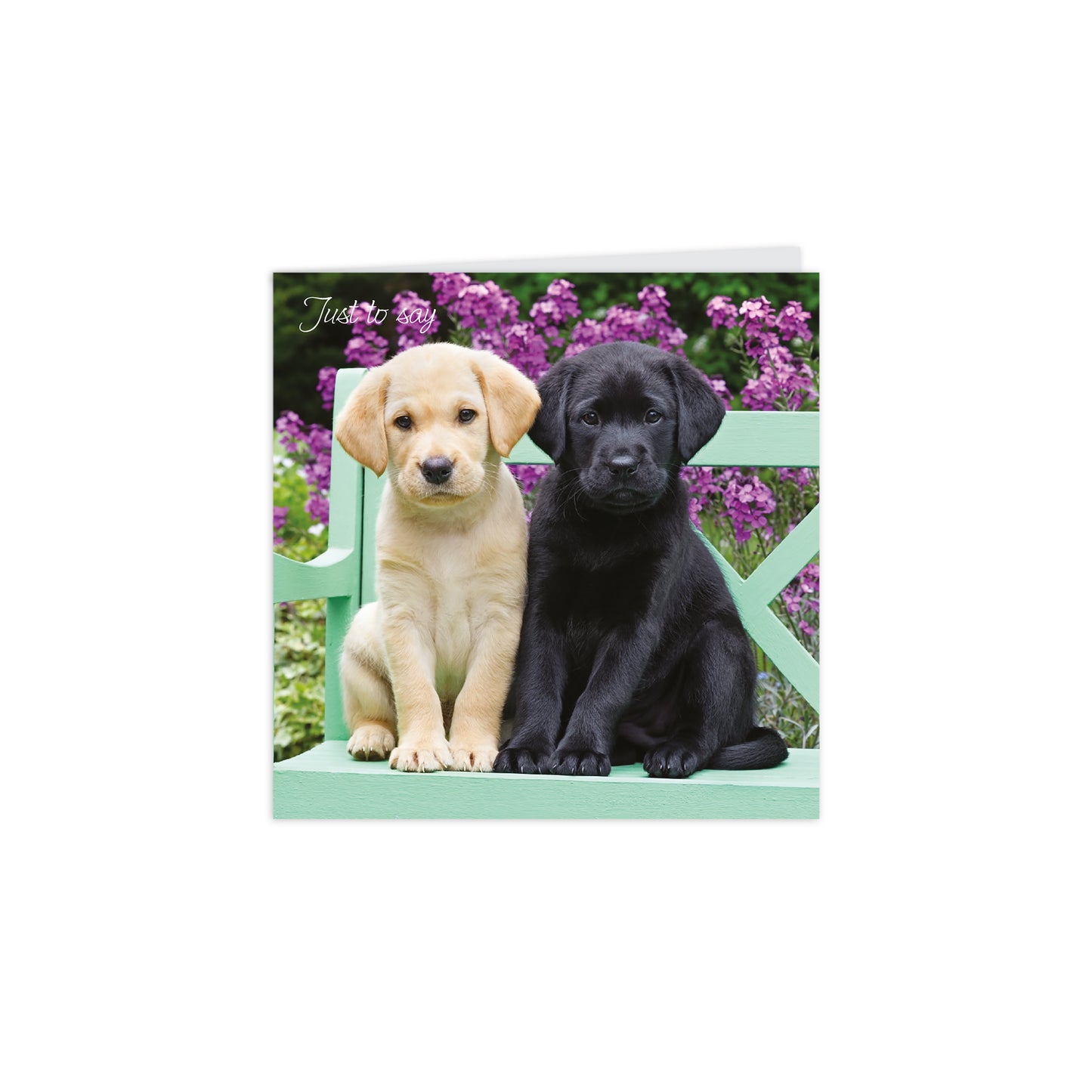 Notecard Pack (10 Cards) - Puppies & Flowers