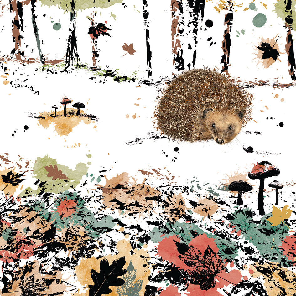 RSPB Field & Forest Card - Hedgehog