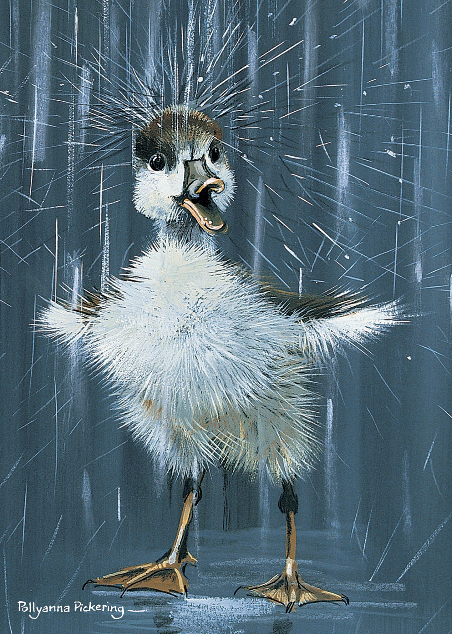 Mini Notecard Pack (5 Cards) - Duckling 'Splash'