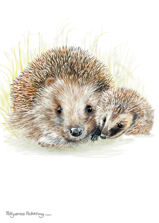 Mini Notecard Pack (5 Cards) - Hedgehog Pair