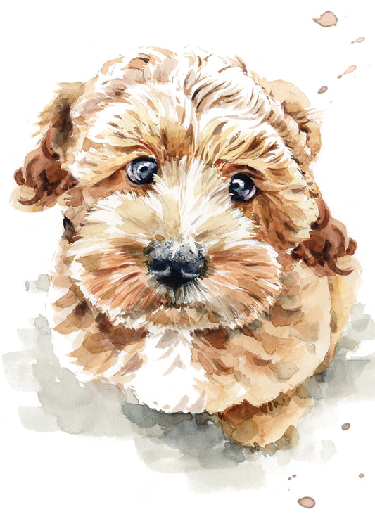 Mini Notecard Pack (5 Cards) - Cockapoo